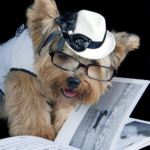 dog with glasses and hat reading